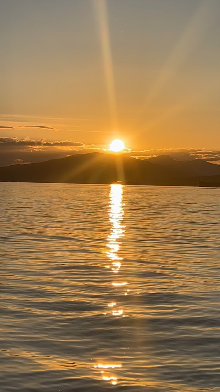 Who is ready for summer in Vancouver👏👏?!
Your best option for luxury pontoon boat ride in Vancouver ♥️☀️🌊 Sunset with your love! 🌅
#summervibes #veryvancouver #vancouverboating #luxurycharter #vancouver_canada #boatingseason #granvilleisland