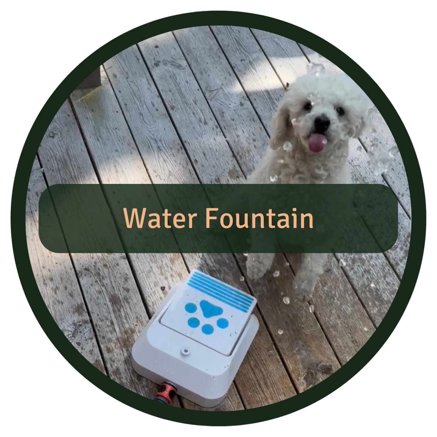 We just tried out this water fountain from @dogmansverige 🐶💦
Safety first 👉 Never leave your dog unattended while using the water fountain.
What we liked:
✔️ Cooling Down: Perfect for those hot summer days!
✔️ Fun & Mental Activation: It's a fun activity that stimulates your dog's mind
✔️ Hydration: Ensures your dog has plenty of water to drink while playing
Risks we saw:
❌ Stressful Play: Like chasing a ball, this toy can become stressful for some dogs, even if they seem to enjoy it. Keep an eye on their body language and check for signs of stress and/or frustration.
❌ Fear: Some dogs might be scared of the water spraying out. Introduce it slowly, depending on your dog's personality.
❌ Overdrinking: Watch out for your dog drinking too much water.
❌ Water Temperature: Make sure the water is not too hot, especially if the hose has been lying in the sun.
❌ Water Safety: Always ensure the water is safe and clean for your dog to drink.
❌ Risk of Paw Injury: Be cautious of your dog’s paws getting caught in the water fountain. Ensure it's set up safely. ⚠️
Alternative Option: If your dog doesn’t take to the fountain, consider investing in a dog pool instead. It can provide similar benefits with a different approach.
Happy splashing 💦🐾
#DogFun #CoolingDown #DogHydration #PetSafety #DogPool #SummerWithDogs #HappyPup