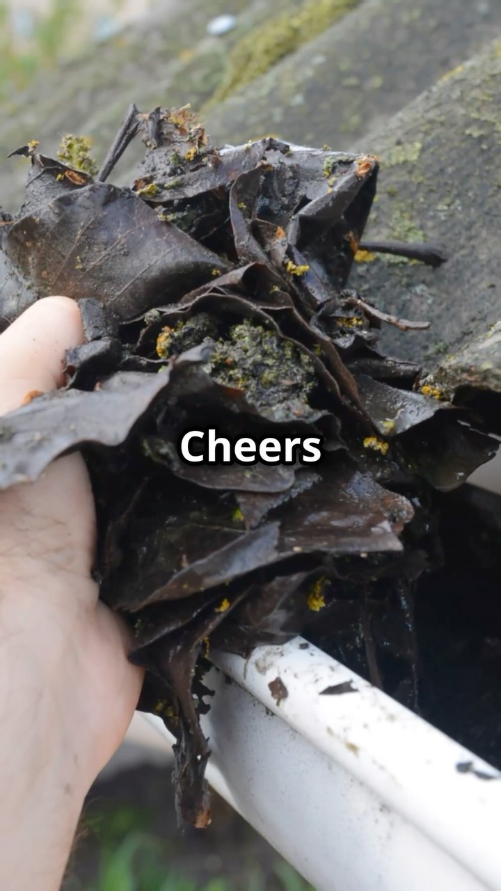 Getting your gutters ready for winter! 🍂✅ A clean gutter means no blockages, no leaks, and no winter worries. 💧 Let us help you prepare your property for the colder months ahead! 🧰 Call us now to book an appointment on 0208 441 3144 #maintenancematters #winterprep #guttercleaning #propertycare #stayaheadofwinter