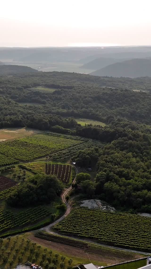 This connection happened spontaneously, yet so naturally.
@francarman_wines_ Winery is one of those places you do not simply visit. You return to it.
Every time we arrive, it feels like coming home.
To people with open hearts and warm smiles, who welcome you as if you were family. ❤️
We love you. We love your wines. And your incredible energy.
At our gastro experiences, we often serve their Malvasia.
So smooth, light, and perfect for summer gatherings.
Curious to taste more?
Stop by their winery… Or join us at the next Full Moon Gastro Yoga where we are preparing something truly special with their wines.
📸 @lorina_duic
#FrancArman #Malvasia #IstrianWines #GastroExperience #WineStory #FullMoonVibes #visitistria