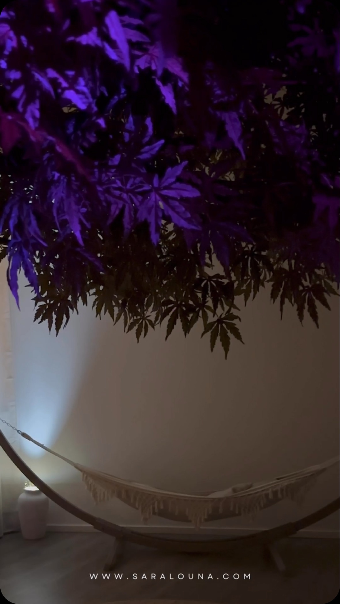 The weather after ceremony ..