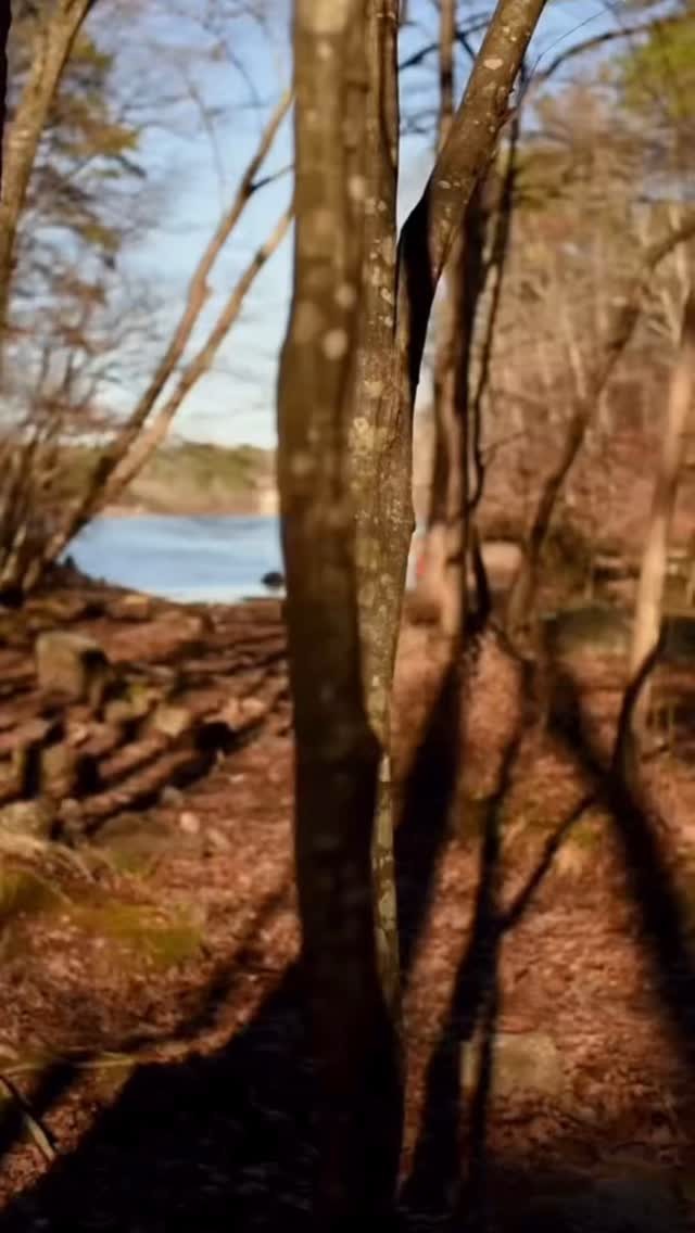 Fair-trade Organic, Rainforest Alliance Specialty Graded Coffee Roasted in the Evergreen State
☀️🏔️🌑.
Comment “Save” and we’ll DM you our link to save 10% your first order by signing up.
.
.
.
.
.
.
.
.
.
.
.
.
.
#coffee #pnw #wa #outdoors #coffeecoffeecoffee #coffeegram #nature #coffeelovers #coffeelife