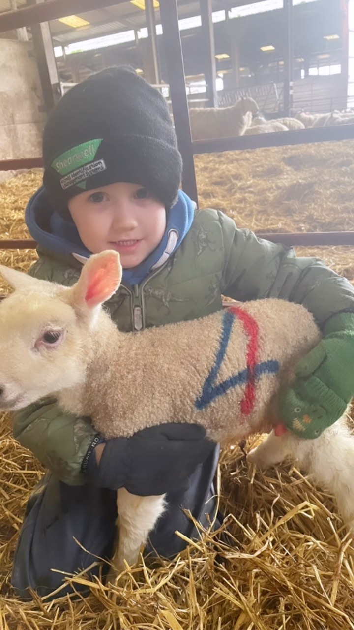 A little snippet of what’s been keeping us busy the last few weeks…
#farmlife #farming #familyfarm