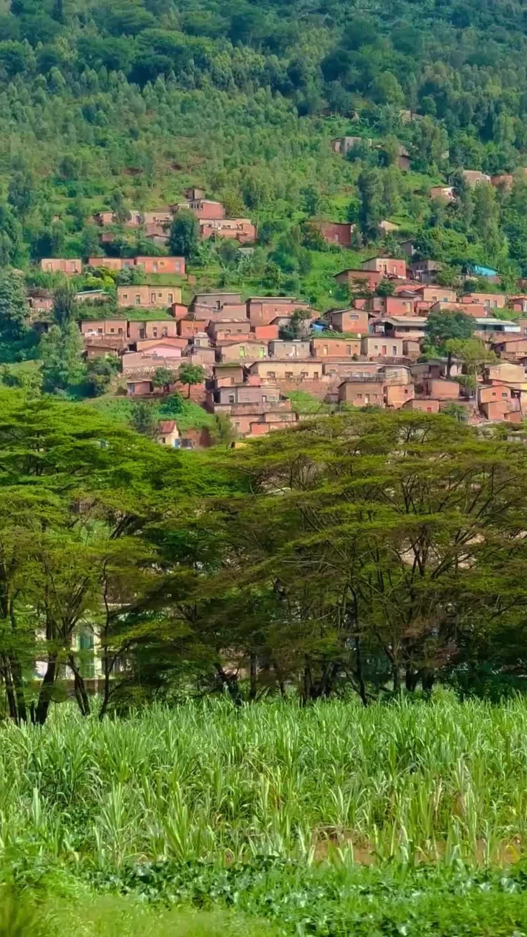 #ThroughMyLens 🤳🏾🎥 : #Kigali, #Rwanda 🇷🇼
#luxehorizonsafrica
As you watch this reel, you'll journey with me through the heart of Kigali, where history and modernity coexist in beautiful harmony. The Convention Centre lights up the skyline, a stunning embodiment of Rwanda's forward-looking vision.
The reel takes you into the lively #KimironkoMarket, where the vibrant colors and bustling activity reflect the dynamic culture of Rwanda. It's a place where tradition meets the everyday life of Kigali's residents, captured in each frame.
You'll see the iconic #GorillaStatueRwanda, symbolizing Rwanda's commitment to conservation, and the somber yet hopeful #GenocideMemorialCenter, a place of reflection and resilience that deeply moved me.
These visual stories of Rwanda's landscapes and people are more than just images; they are memories of a nation that inspires with its strength and beauty.
I invite you to watch and share your thoughts: What part of Rwanda's story resonates most with you?
RwandaJourney #VisitRwanda #HeartOfAfrica #KigaliRising #AfricanLandscapes #TravelDiaries #SoloTravel #V4EverYoung #Vee4EverYoung