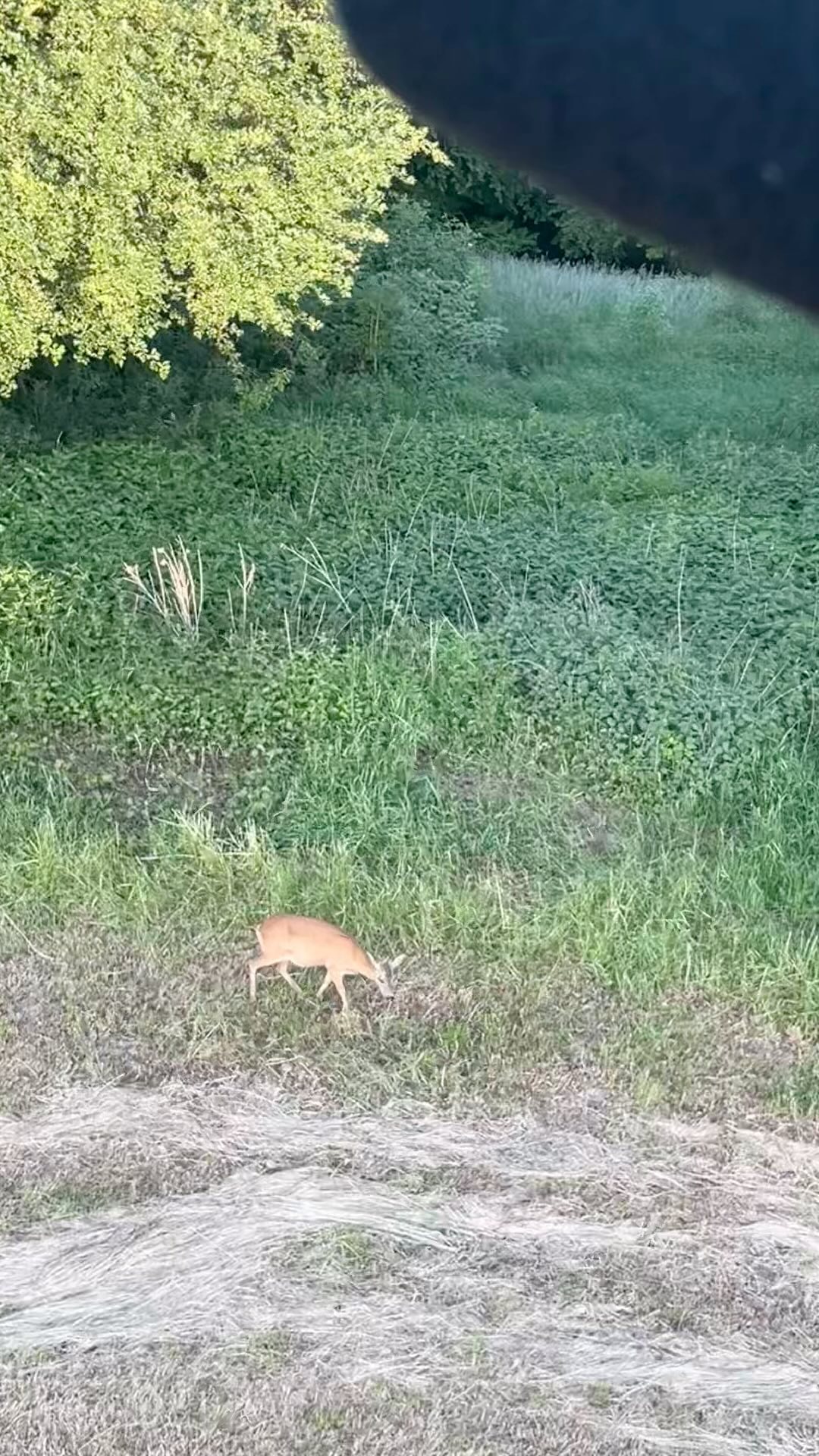 Ein kurzer Einblick in meinen Tag im Revier…