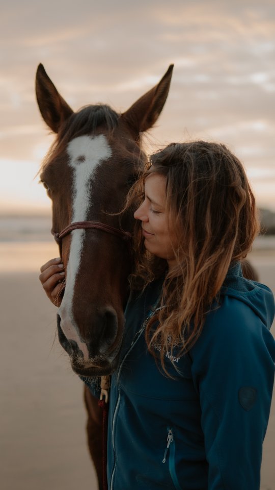 Inteligente is a truly special horse that deserves to find her special person.
She is incredibly intelligent, elegant, athletic and powerful while at the same time she is super willing, sweet and soft.
The progress she made is unbelievable, yet she can still be sensitive about being touched on her head and unexpected movements around her head with a stick as they used to try to catch her leadrope / halter with a hook attached to a stick.
I would love to see her with a person that already has some horsemanship skills because she is an incredibly talented once in a lifetime horse for a person that can understand her and prove to her that they won't hurt her.
Inteligente has great bloodlines and had a really good score in the breeding approval of the APSL so she would be an amazing match for someone that is thinking about breeding purebred Lusitanos.
Contact me or @taguslusitanos if you would like to know more about this truly special lady.
