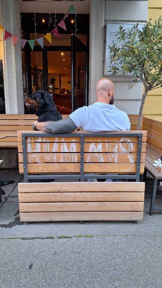 Opening hours
Tuesday-Thursday 11:30-21:00, Friday-Saturday 11:30-22:00
#hummus #viennaeats #restaurant #vienna #viral