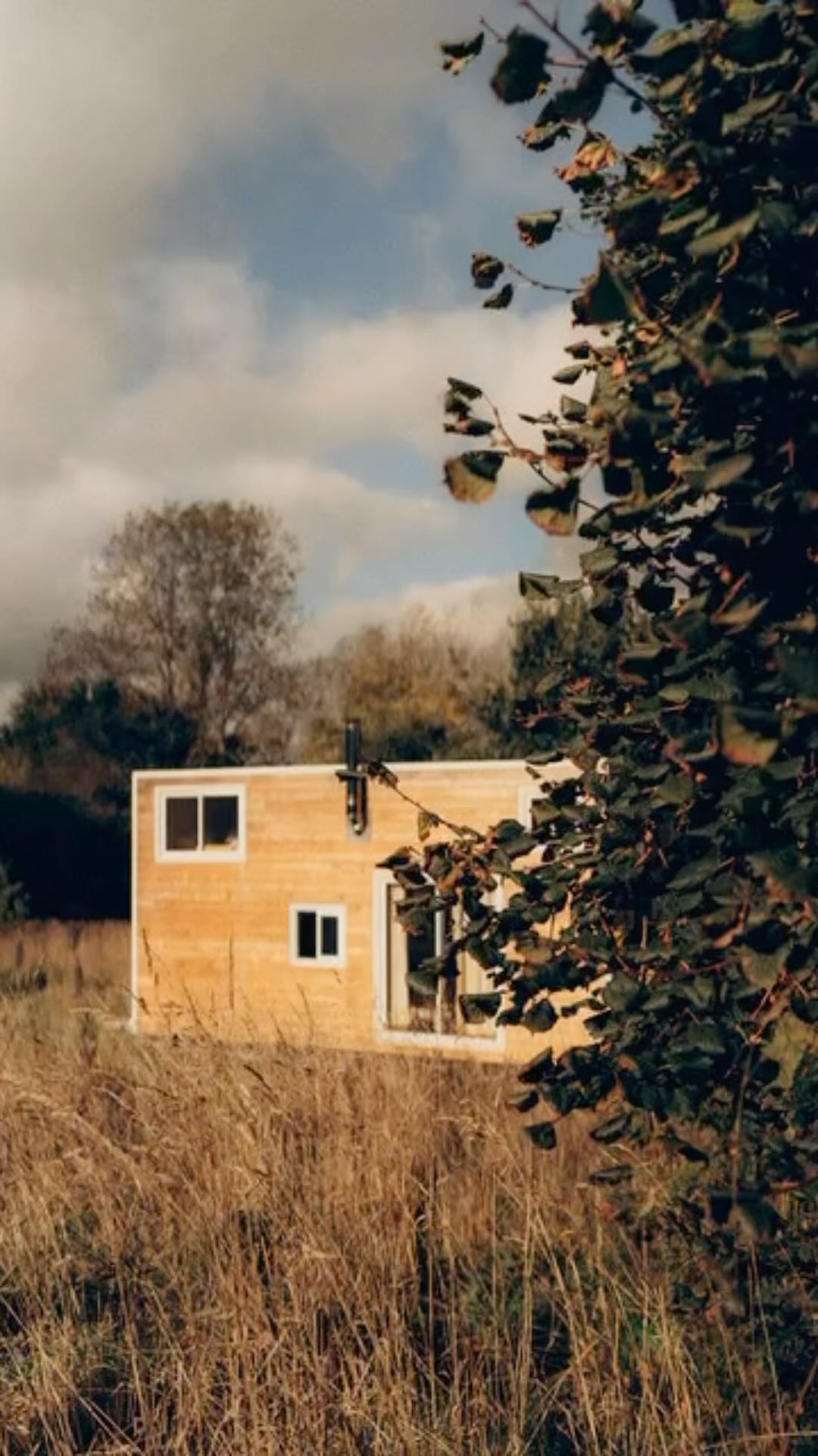 The year of change!!! 🦣 ➡️🦋Comprendre qu’on est pas que notre entreprise. On peu aimer ce qu’on fait, être fier de ce que l’on a créer mais être fatiguée d’avoir tout donné et avoir besoin de laisser vivre une autre de partie de soi!! Ça a été dur de m’autoriser à songer à tout arrêter mais ça m’a permis de mieux y revenir!! Flower Girl Boss + Adventure Wild Woman are super happy at the moment! 😁