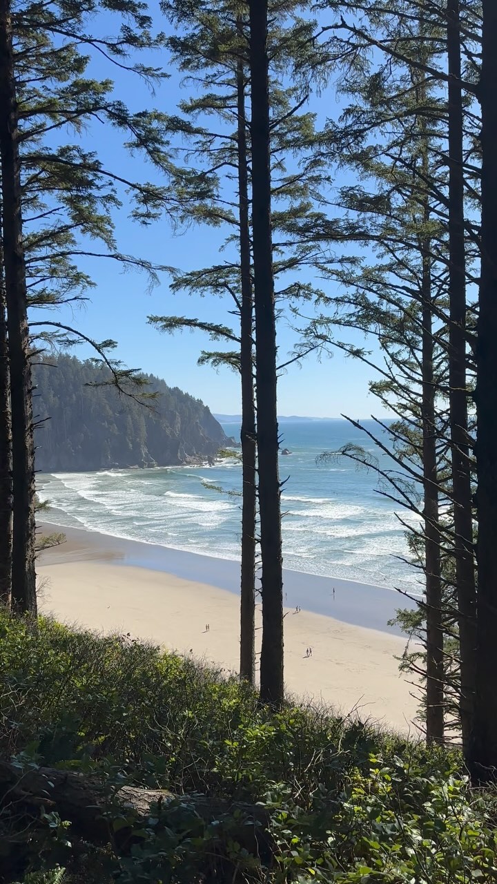 Oregon, you’ve done it again. Details for this most gorgeous of hikes, up now on the blog (along with, of course, the perfect stops for pre-hike coffee & post-hike dinner).
PS. if you’re in the Seattle area and you don’t mind a long day, this is 100% doable as a day trip. We left home at 6am and got back around 8pm.
.
.
.
.
.
.
#pnwadventures #pnwonderland #pnwonderdogs #oregon #oregoncoast #oregonexplored #hiking #hikingwithdogs #hikingthepnw #hikingwithkids #thefuturewild #getoutsideandplay #explore #capefalcon