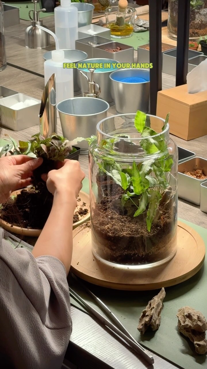 Transform rainy days into creative ones at our workshop🌧️🪴
#vancouver #diyterrarium #terrariumworkshop #plantlovers #greenthumb #datenight #planttherapy