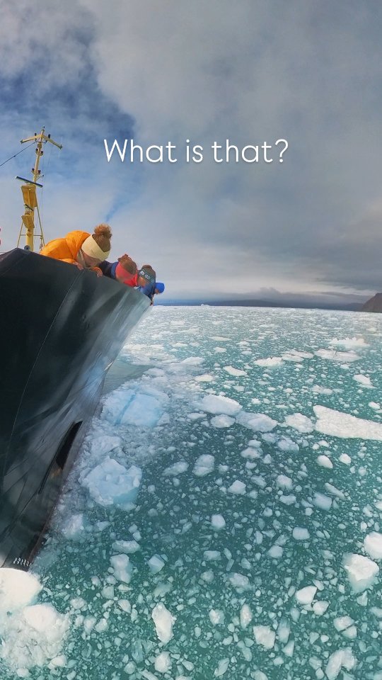 What is that? What is there?
It's important to always stay curious ❣️
📸🔭 Maybe your next adventure is already waiting around the corner?
What about greenland with @arktis_tours ?
#adventureinspirations #explore #greenland #adventure #icebergs #curious #naturelove #north #nextadventureawaits