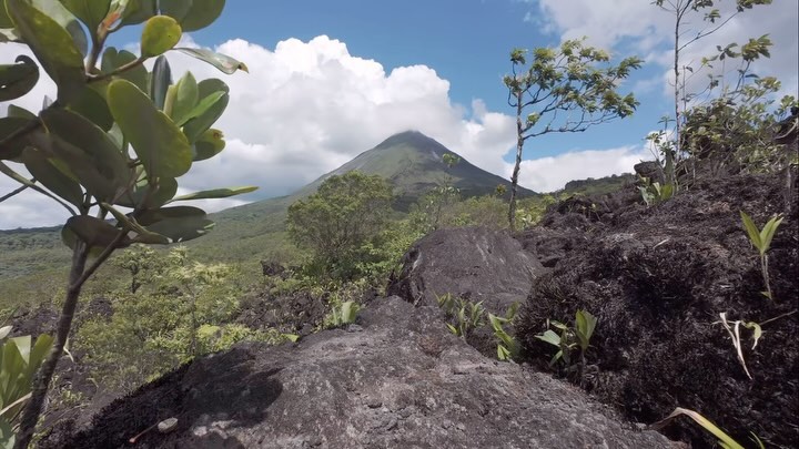Into Nature left our gear behind for a family trip to Costa Rica…except for a DJI Osmo Actio 4 camera. Get a peek into Costa Rica up in the Hanging Bridges of Mistico Park exploring the rainforest with our excellent Desafio Adventure Company guide Samantha. Next, the Arenal Volcano and La Fortuna waterfall. We ended our trip with White-faced Capuchin Monkeys in the mangroves and gorgeous beaches of Manuel Antonio National Park. @desafiocr