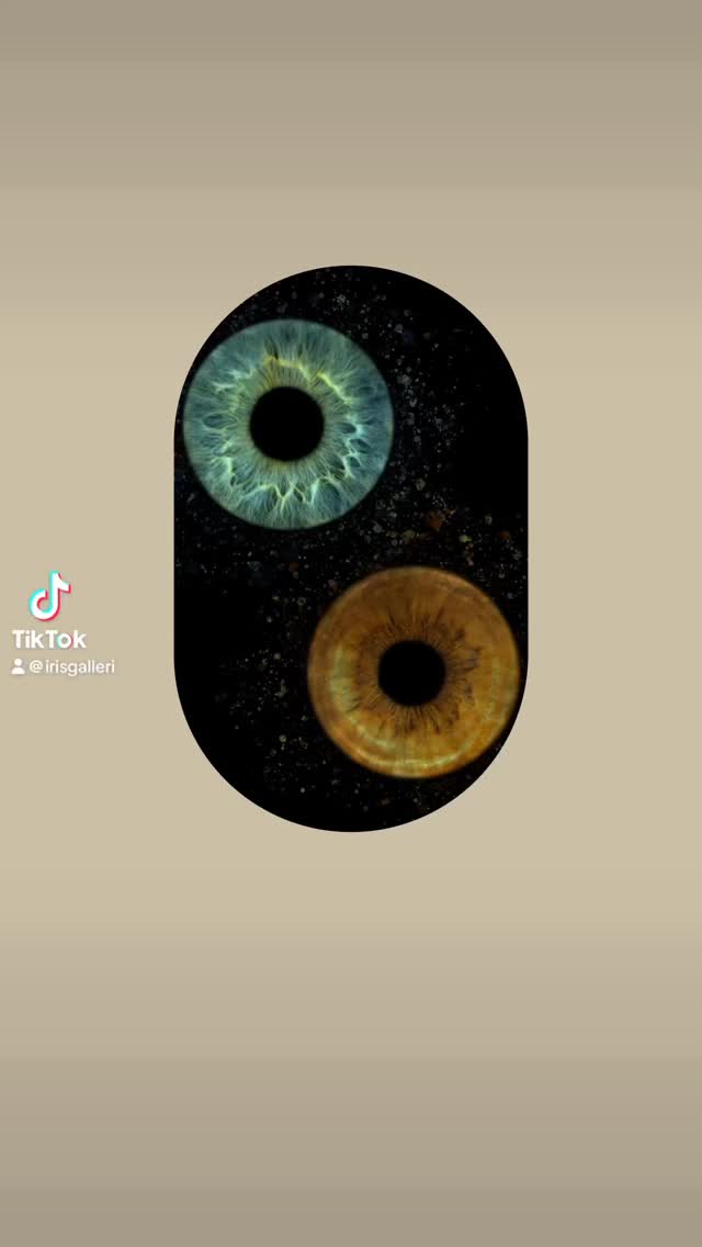 #irisgalleri #eyephotography #irisphotography #macroeye #irisart #eyecloseup #eyemacro #uniqueeyes #eyeartwork #irisportrait #norskfotograf #fotokunst #kunstfoto #oslofotograf #norwayphotography #visitnorway #norgebilder #mittnorge #norwegianart #osloartscene #macrophotography #fineartphotography #irisdetails #eyestagram #oslobusiness #norwegianphotographer #norwayart #artinnorway #creativephotography #irisphoto