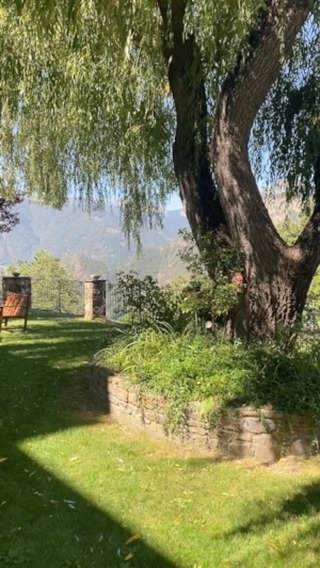 So glad I squeezed in a day at my favourite pool this week. And did some work at the same time. Unfinished sketch of @alexachung , a tree and lots of reading and research. #andorra #ordino #art #artistlife