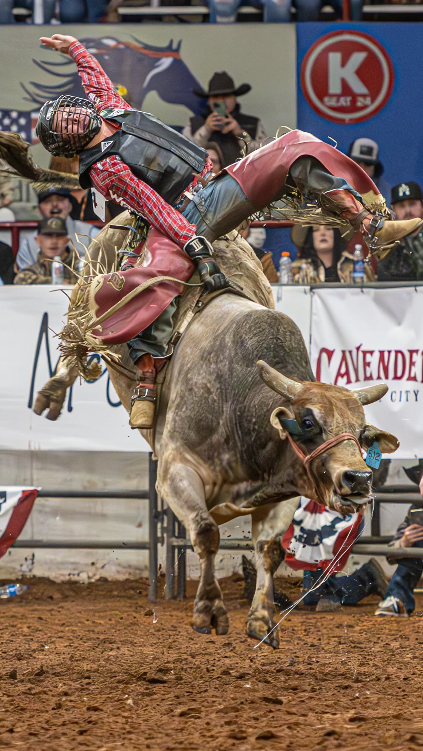 —BULLNANZA 2024—
It was a weekend full of bull riding and music, all for a great cause!!
•
•
•
#shrinershospitalsforchildren #xtremebulls #concert