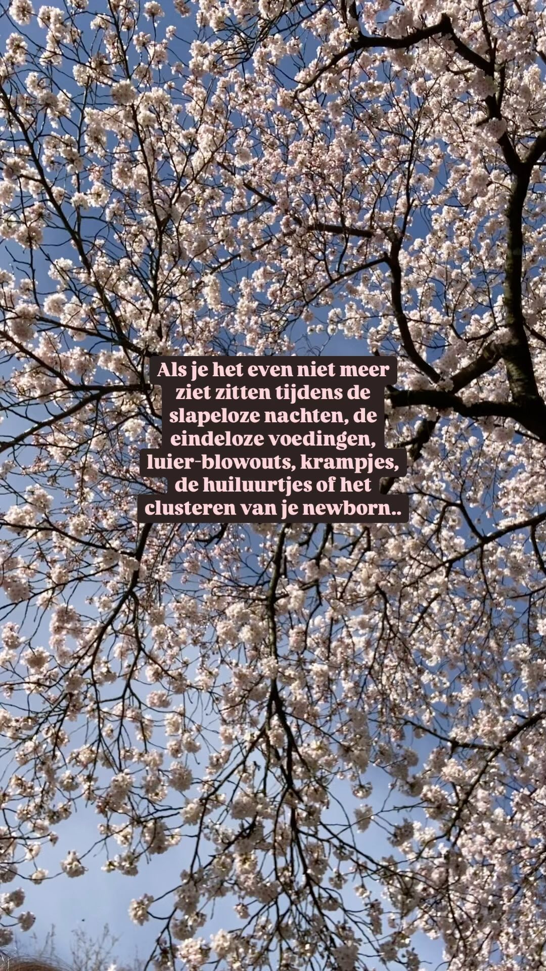 Iedere fase heeft tot nu toe me verrast. Zowel positief als negatief. Maar het gaat altijd weer voorbij. En dat is inderdaad hartverscheurend en een zegen tegelijk.
Als het even pittig is, en je het allemaal niet meer zo leuk vind, dat ouderschap, weet dat we allemaal die momenten hebben en dat er ergens ter wereld ook een andere mama is die even met de handen in het haar zit.
Je bent niet alleen!
#mama #moederschap #newborn #clusteren #huiluurtje