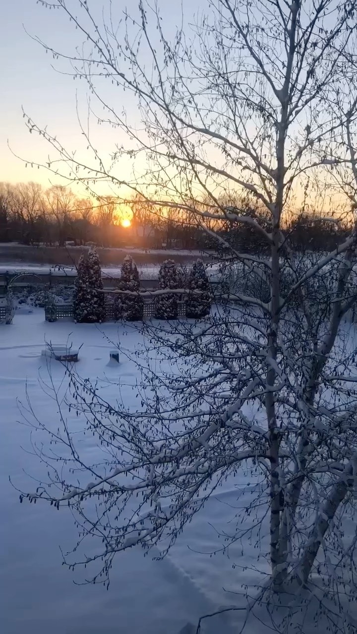 No caption. Just proof of life in 2024.