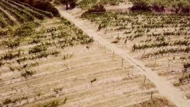 #placestostay
#monferratotourist
#monferratohills
#monferrato
#monferratodelights
#countryhouse