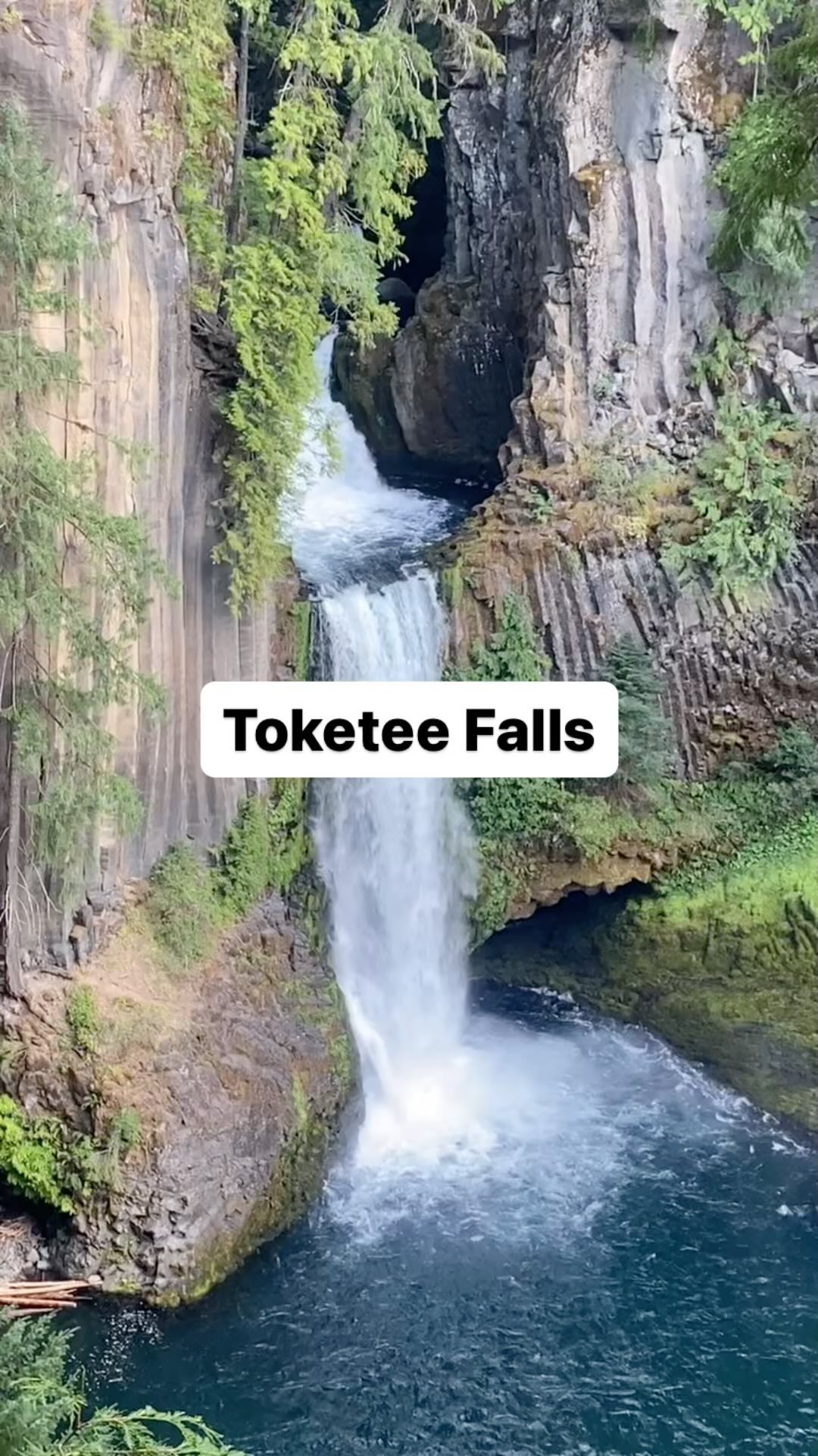 📍 Toketee Falls
Learning Topics: Geology, Old Growth Forests, waterfalls
Full write up coming soon to our website! Also check out our newest blog post about exploring the North Umpqua with kids: https://www.wildandbarefootadventures.com/post/outdoor-escapades-on-the-north-umpqua-a-journey-into-the-wild-for-the-whole-family
#wildandbarefootadventures #getoutside #explorenature #northumpqua #toketeefalls #chasingwaterfalls #homeschool #adventurefamily #placebasededucation #hikingwithkids #northumpquawithkids #familyfriendlyadventures #exploreoregon #seekoutdoors #1000hoursoutside #pnwkids #oregonkids #outdoors #nature #happykids #theworldismyclassroom