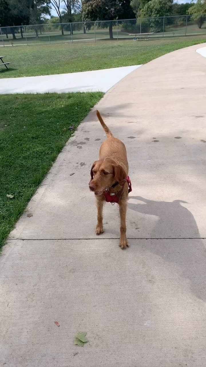 Dash ands Splash at Kiwanis Park.