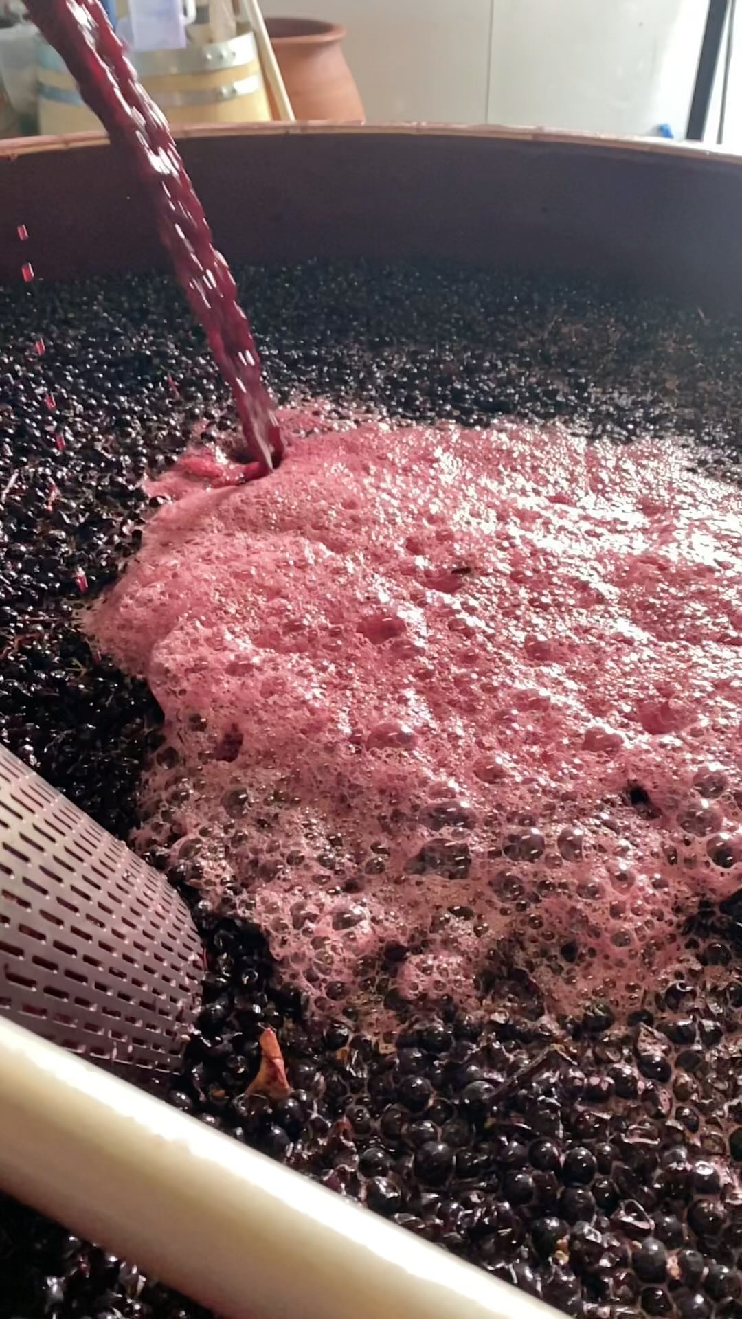 Che Syrah Syrah! Morning pumpovers in the sunshine. I love the sound, the feel, the aromas, the peace. #syrah #malakoff #pyrenees #v23