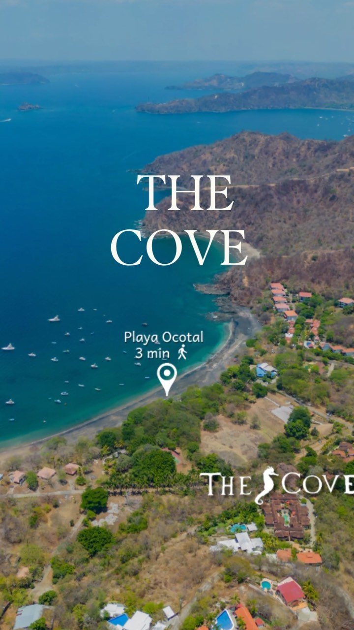 🌴 THE COVE
Versatile Design and Income Opportunities! Spanning 2517 sq.ft., this retreat features 3 bedrooms and 3.5 bathrooms across two levels. The ground floor hosts 1 bedroom and 1.5 bathrooms, while the second floor offers 2 bedrooms and 2 bathrooms, each with balconies and a terrace for outdoor enjoyment. Discover the flexibility to live in one and rent the other or both levels.
🌴For this and more listings 📞506 87138080.
📌 Playa Ocotal
💵 $349,000
🏠 234 m2
🛌 3 Bedroom
🛁 3.5 Bathroom
🪴 Furnished
🏊♀️ pool
✈️ 40 min to Liberia Intnl Airport
🏝️ 5 min to the beach