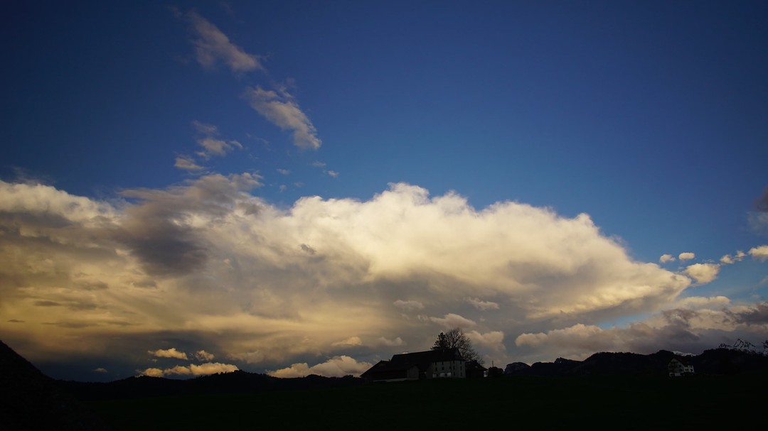 31.03.2024 Schöne Abendstimmung