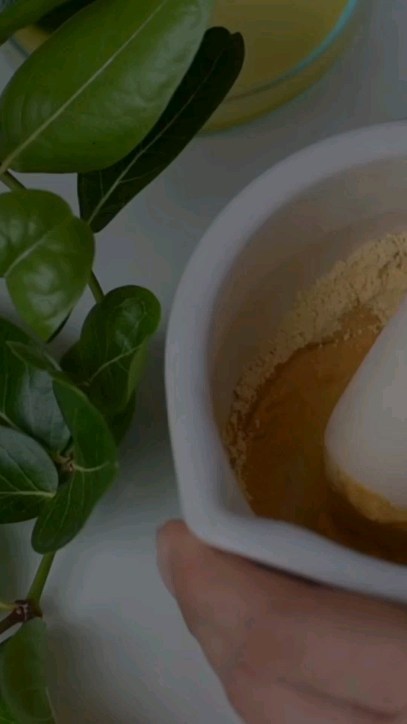 🍃Em homenagem à Semana da Planta Medicinal, apresentaremos 6 episódios onde serão abordadas todas as etapas produtivas das Farmácias Vivas! 🌿
Venha conhecer mais sobre esse Serviço público de Fitoterapia que amplia o acesso da população às Plantas Medicinais e aos Fitoterápicos, com segurança, qualidade e eficácia!💚
#plantasmedicinais #fitoterapia #farmaciaviva