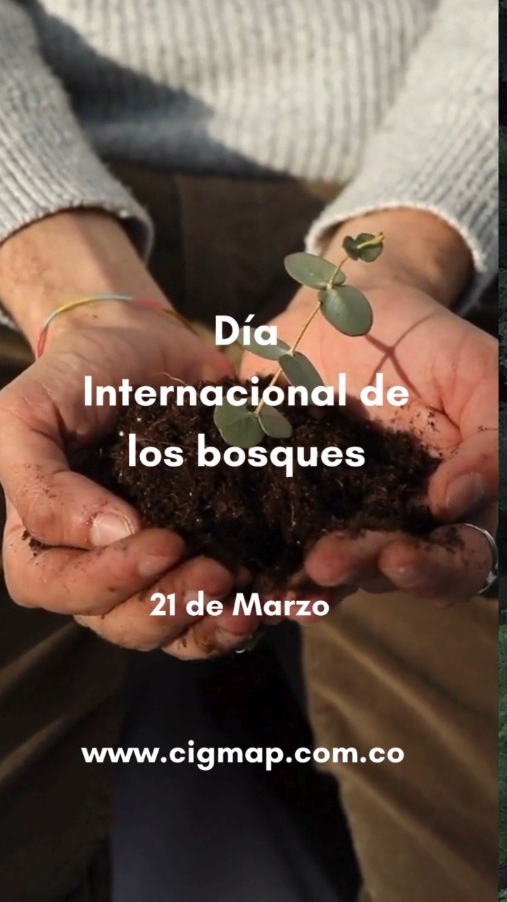 Día internacional de los bosques 🌱
Bosques e innovación: nuevas soluciones para un mundo mejor.
La restauración de los ecosistemas, incluidos los esfuerzos de reforestación, puede también contribuir significativamente a mitigar el cambio climático y mejorar la seguridad alimentaria al tiempo que se promueven los productos madereros sostenibles.
En CIGMAP estamos comprometidos con la conservación y el cuidado de nuestros recursos naturales.
#diadelosbosques #díadelosbosques🌳 #DíaDeLosBosques