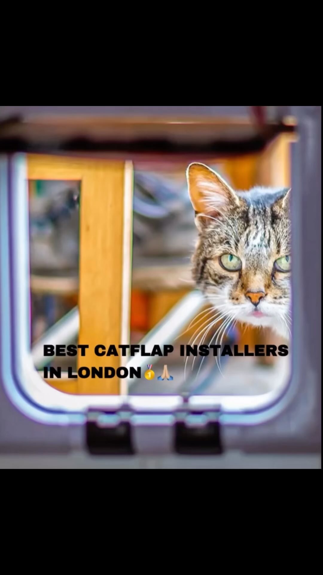 This is not even %1 of the jobs that we got them done perfectly in London 🥇✅😅😍
Call us today📞
#catlover #london #londonlife #londoncat #cats_of_world #catlife #catlover #catdoor #catflap #business #followforfollowback #followers #uk #free #top #product
