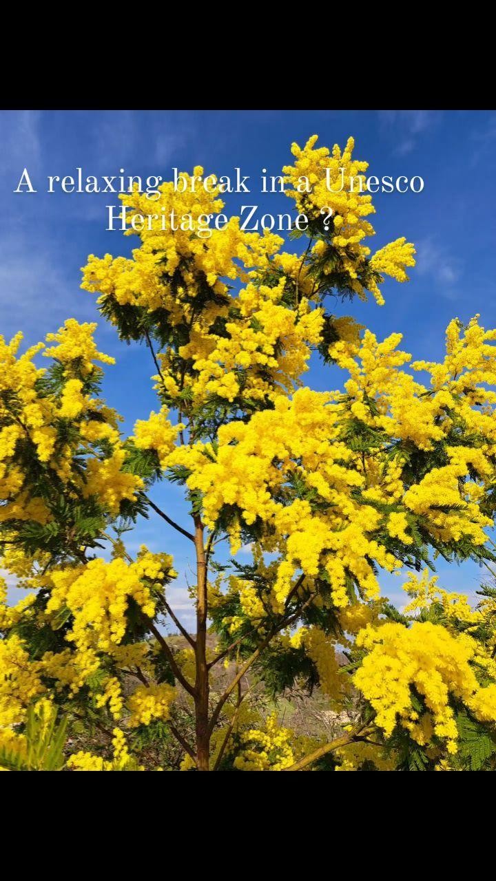 What does a relaxing break in a Unesco Heritage Site look like ?
Book direct on our website for best deals.
#unescoworldheritage
#placestosee
#ig_piemonte
#monferratotourist