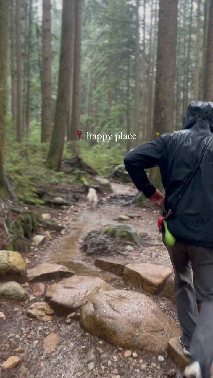 Growing up in Lynn Valley we spent a lot of time at Headwaters. It was a special place for me then, and still is đ˛ đś ⨠#lynnloop #lynnheadwaters #northshore #liquidsunshine