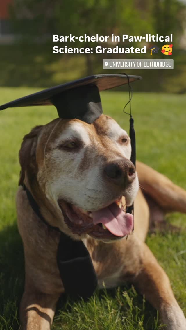 Bark-chelor in Paw-litical Science: Graduated. 🎓🥰