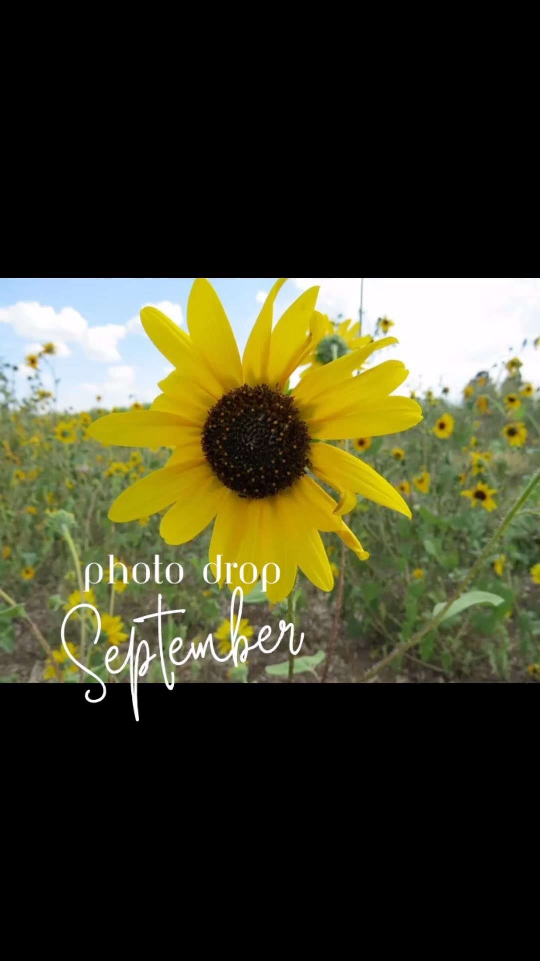 Made with Cricut Design Space