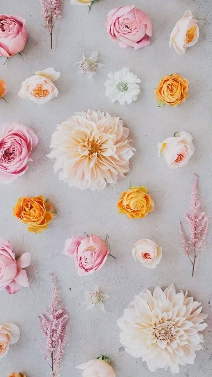 • LAST CALL •
Good evening… hope you’ve had a fabulous Tuesday 😊
Just wanted to let you know that tomorrow (Wednesday) is the last day to get your pre-orders in for our fabulous Mother’s Day Blooms’ 💗🌸💗🌸💗
We have bouquets ranging from £25-£55 and all come gorgeously wrapped and hand tied by us in store…
If you’d like to treat your mum this Sunday just drop us a DM, give us a call, or pop into the shop and we’ll work our magic!
All pre orders will be ready for collection on Saturday 9th between 10 am - 5 pm 😊
We look forward to hearing from you and spreading some Mother’s Day love to all those hard working mamas out there… 🫶🏻🫶🏻🫶🏻
Much love Amy xxx
#mothersdaygiftcardiff #mothersdayflowers #pontcannashoppingtrail #womenownedsmallbusiness #pontcanna #treatyourself