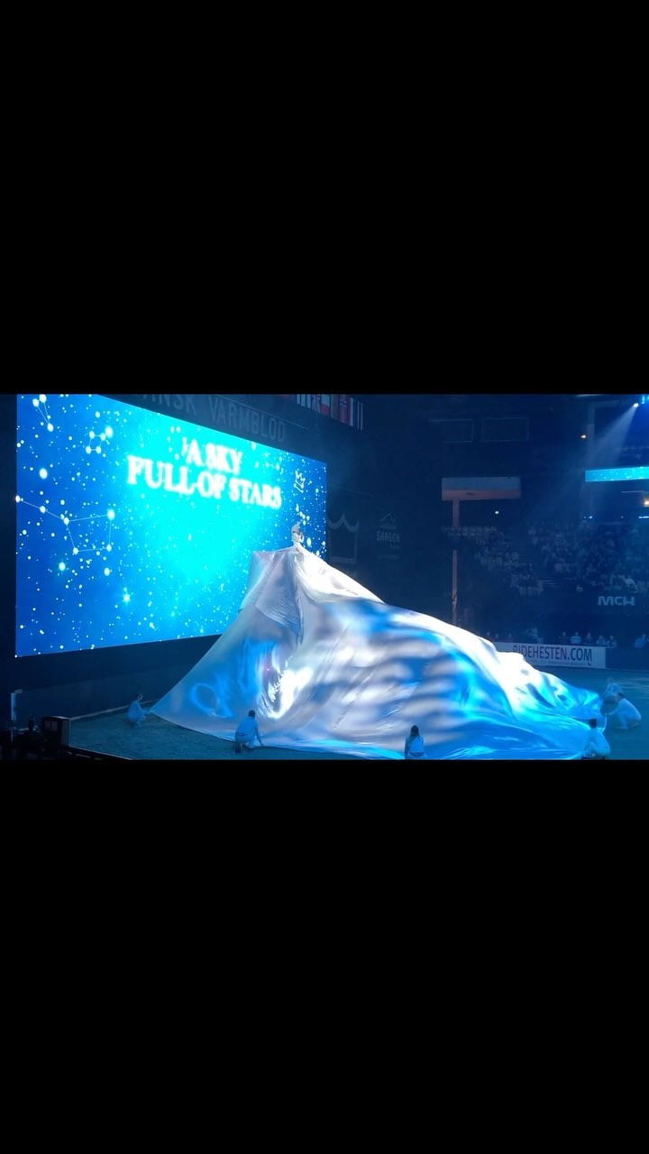When technology and creativity comes together you can present an elegant visual performance at your event. Get your storyline across with performers and projection. Your guests will remember it forever 💥 #memorable #evententertainent #projection #creative #storyline #copenhagen