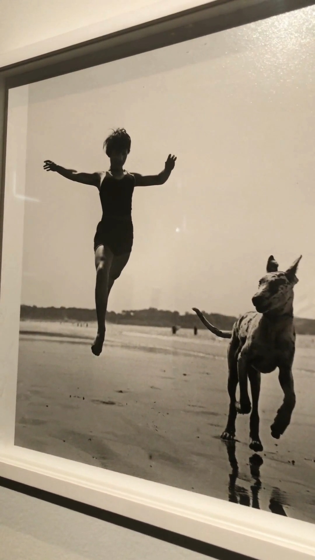 Le saviez-vous ? C'est son père, en 1902, qui initie Jacques Henri Lartigue à la photographie en lui offrant son premier appareil.
Pionnier de la photographie instantannée en France, l'artiste testera, au cours de sa carrière, tous les procédés photographiques dès leur invention : les photos en couleur, la stéréoscopie, les photos 3D...
© Jacques Henri Lartigue
Œuvres présentées : Jeanine Lhemann, Royan, septembre 1926 - tirage photographique - 40 x 50 cm ; La Baule, 1979 - tirage photographique – 40 x 50 cm ; Maurice Lartigue, surnommé Zissou, Merlimont, 3 avril 1904 - tirage photographique - 40 x 50 cm ; Maurice Lartigue, surnommé Zissou, Rouzat, juillet 1908 - tirage photographique - 40 x 50 cm
#photographie #photography #reels #photo #photographer #appareilphoto #vacances #france #islesurlasorgue #vaucluse #avignon #expositionart #artistes #artist #artistic #artisticphotography #mediation #histoire #innovation #culture #culturalheritage