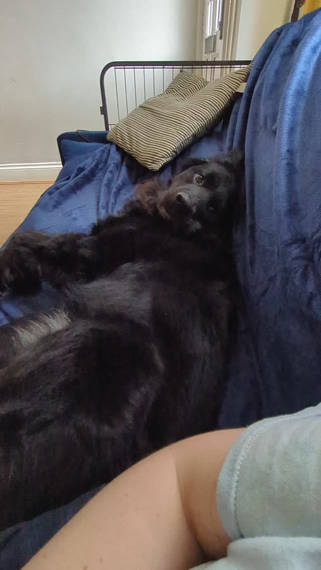 Love our communication!