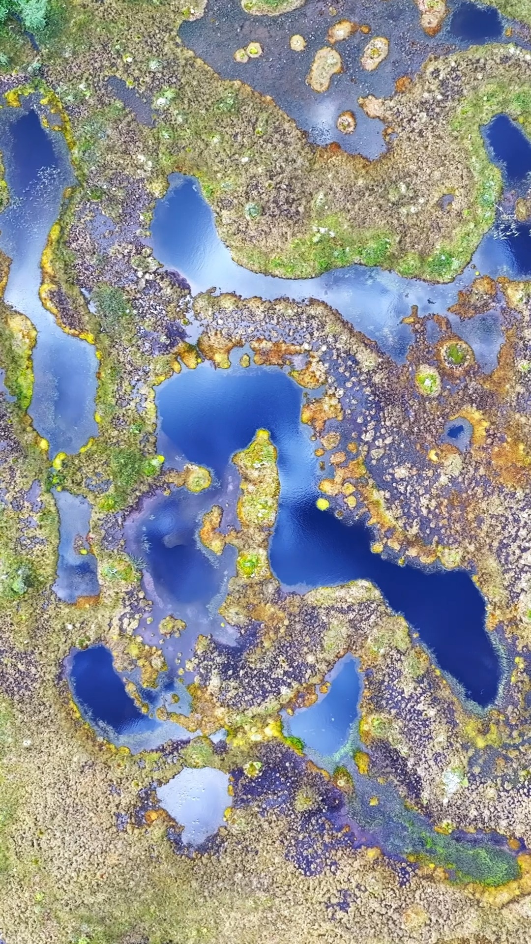 🚁🎥
👉 www.olkivisual.fi
#olkivisual #drone #ilmakuvaus #suo #videokuvaus #videotuotanto #mainostoimisto #digitoimisto #oulu