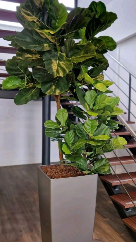 Voor al uw kantoor/interieur beplanting met zijde planten en bloemen,voor meer info stuur een pb of mail naar petrahuisman@hotmail.nl 🌸🌿