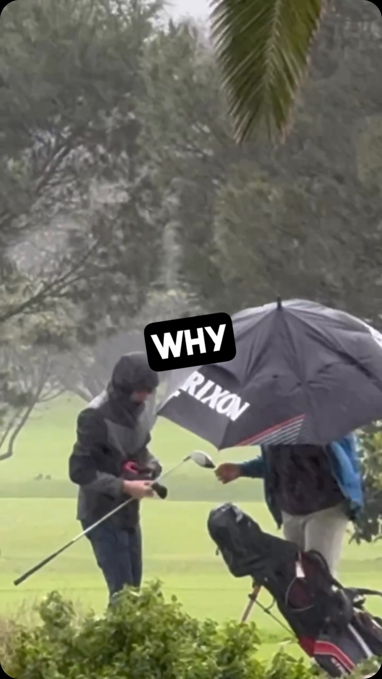 It’s a no brainer 🧐⛳️
#GolfLife #GolfSwing #GolfGoals #PGA #PGATour #GolfGods #GolfCoach #Golfing #GolfAddict #DriveForShow #LPGATour #Athlete #GolfPro #GolfIsLife #GolfTips #GolfLesson #EuropeanTour #LIVgolf #GolfGirls #GolfSkills #GolfFitness #GolfDrip #GolfTravel #DPWorldtour #KidsGolf #JuniorGolf #SwingTips #ShortGame #GolfGirl #USkidsgolf