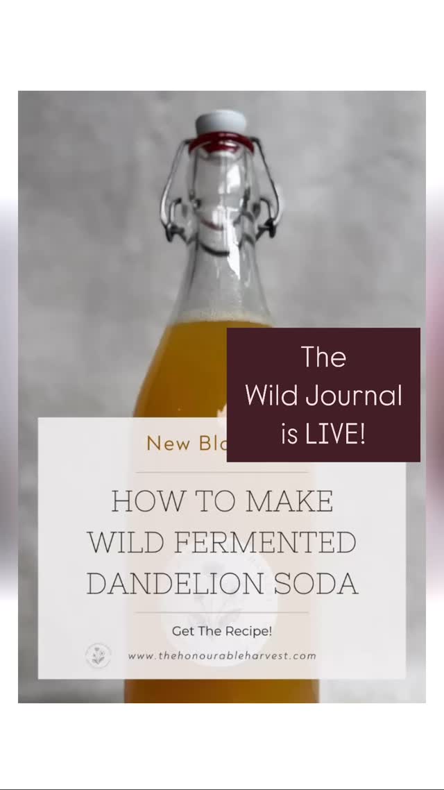 Blog Launch!
I’ve been slowly building out a space to hold recipes and little projects I’m working on and working through. I’ve always loved writing and blogging. I’ve always been a journaler I carry my leather bound journal on every outdoor adventure and record all of my creations in there. This little book has seen some things. There is bear blood, fishing flys, unspent hunting tags and pages and pages of brainstorm ideas and recipes from friends, myself and all of my crazy lab creations.
I can’t wait to share more with you! There is plenty more where this came from.
Join the journey:
https://www.thehonourableharvest.com/my-blog