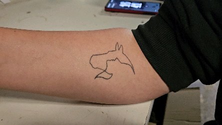 Préparation de cadeaux pour les participants du concours de dressage organisé par @hdlequitation
Venez nombreux ce week end !
#lafabricdard #artisanatfrancais #autoentrepreneur #woodturning #woodworking #wood #epoxyart #epoxyresin #resineprofrance