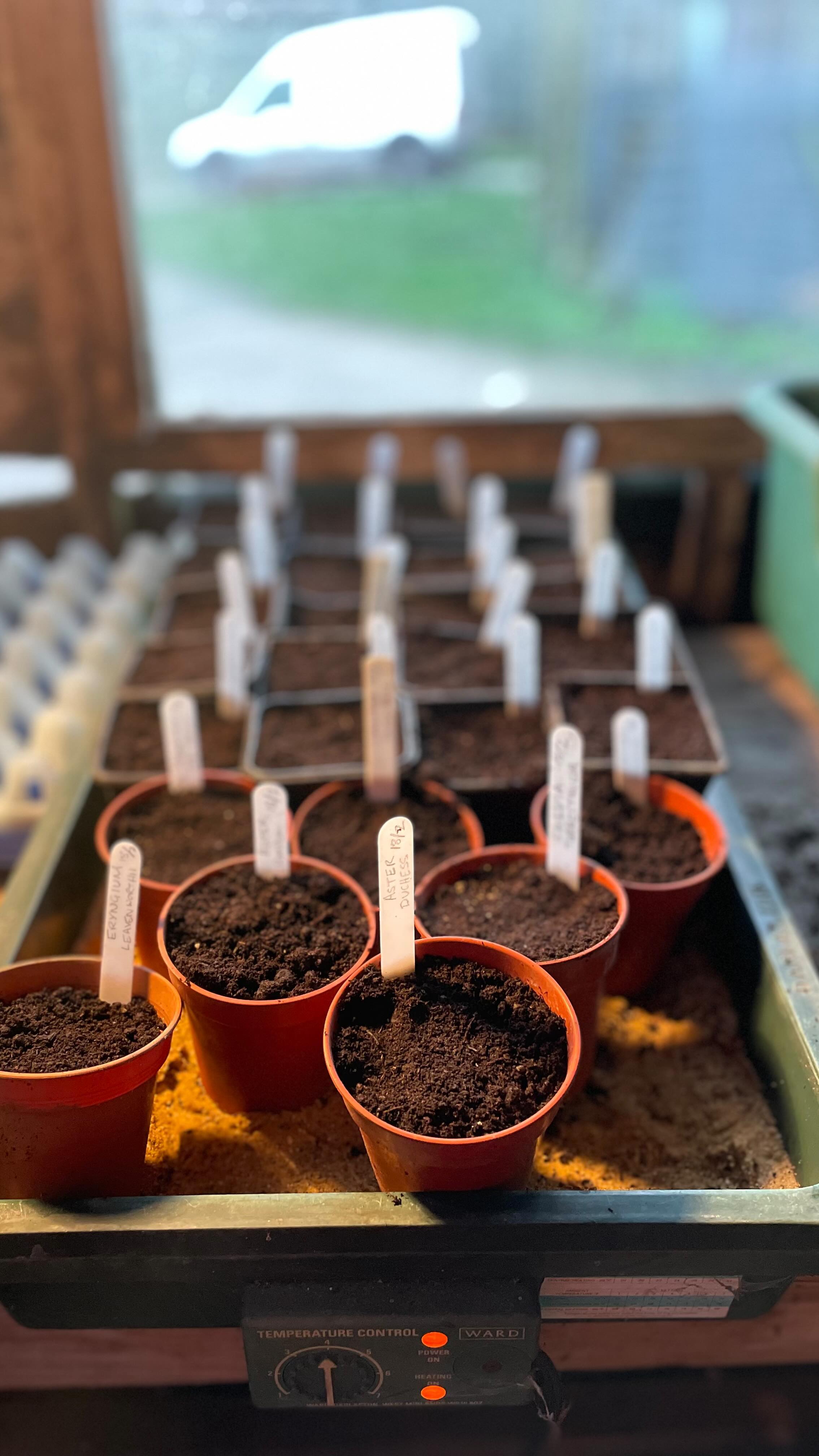 ‘Field to fork is not a new concept to us… we’ve always done it this way!’ That’s a quote from Chris years ago when we were just a really great turkey farm. And it’s something we have taken into every aspect of Fire and Feast… so we grow what we can and get the rest as locally as possible!
If you’re wondering if you can taste it in the good you’ll have to come and try sometime! Dinners and cafe start up later this month call 01986 798 340 to book!
#woodfirecooking #fieldtofork #suffolkfood #suffolkdining #woodfiredining