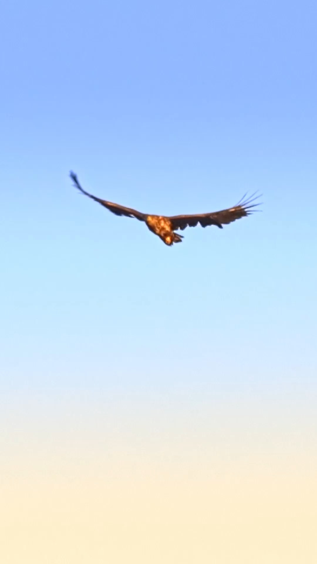 🦅🎥
👉 www.olkivisual.fi
#olkivisual #kotka #drone #ilmakuvaus #videokuvaus #videotuotanto #mainostoimisto #digitoimisto #oulu