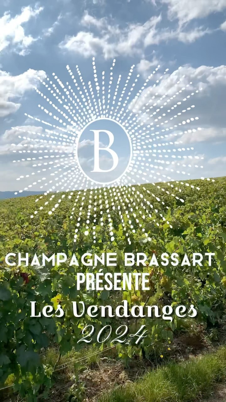 Vendanges 2024 au Champagne Brassart 🍾
Avec un beau soleil et de beaux raisins 🍇
#vendanges #vendanges2024 #vendangesenchampagne #champagnebrassart #raisin