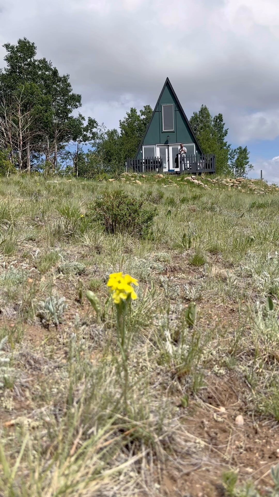 🌷Peak Wildflower season availability 🌷 The first week of July is an awesome time to see the all the wildflowers in bloom - due to a last minute cancellation we have the 4th July weekdays available! —————-> Book direct to save on airbnb fees and use TRIANGLE15 for 15% off June 30th to July 5th! We can’t wait to host you ❤️ link in bio 🔗