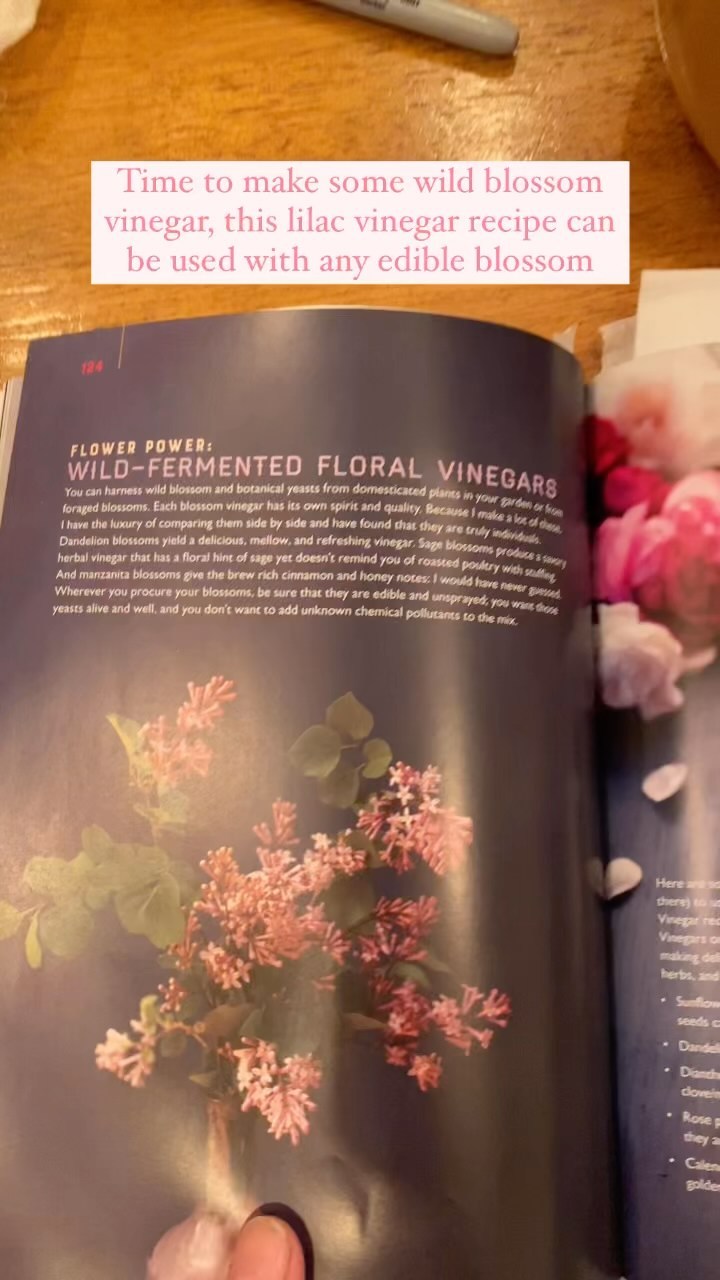 Making homebrewed sunflower petal vinegar 🌻, I followed the same procedure with lilacs and dandelions earlier in the season. I steam juice local apples, which naturally pasteurizes the juice. My steam juicer has become a staple out here on the farm!
Recipe sourced from the book by vinegar queen @kirstenkshockey: “Homebrewed Vinegar” by Kirsten Shockey
Happy vinegar making, friends!
#homebrewedvinegar #sunflower #sunflowervinegar #fermentedvinegar #fermented #homemadevinegar #gardenharvest #homegrown #vinegar #farmtwo53vinegar #regenerativeagriculture