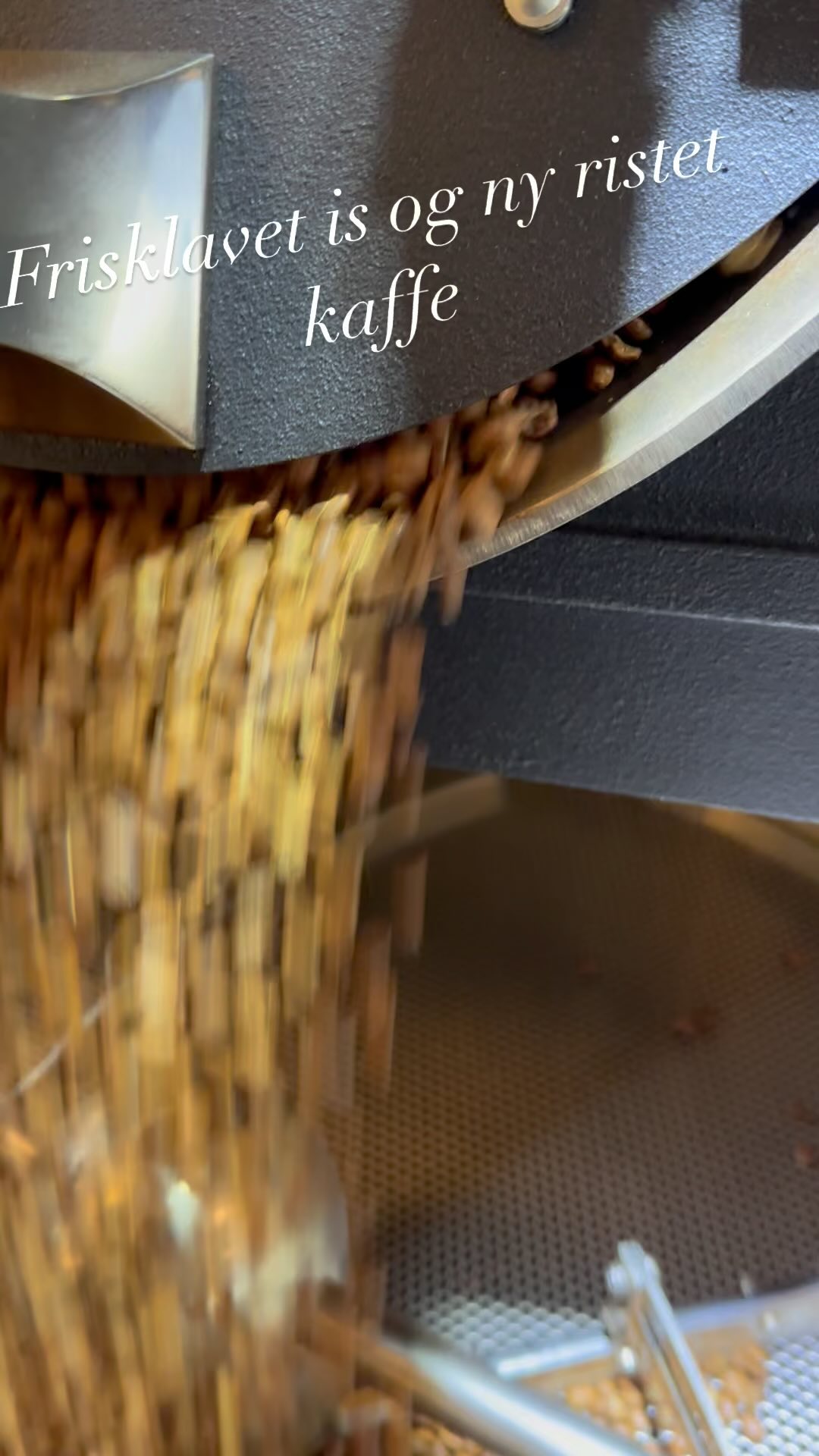 Vi laver alt vores is om morgen , henter frisktappet mælk ved vrejlev kloster , vi bruger ikke lager fryserum til at opbevarer is i - men laver i stedet isen hver morgen og løbende hele dagen derved opnår vi friskheden i isen og kan undgå alle de unødvendige tilsætningsstoffer. Vi har mælkeis lavet på gårdmælk fra Vrejlevkloster Sorbet is der er lavet på vand og frugt og er veganske ,Sukkerfri is som er veganske ,Protein is med 20g protein pr kugle ca