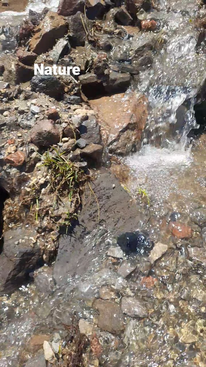 Do you want a new adventure?